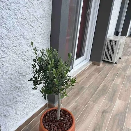 Sardunya Apartment
