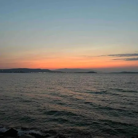 Sardunya Daire Gulbahce