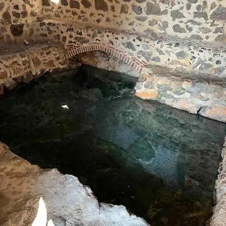Sardunya