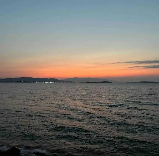 Sardunya Appartement Gulbahce