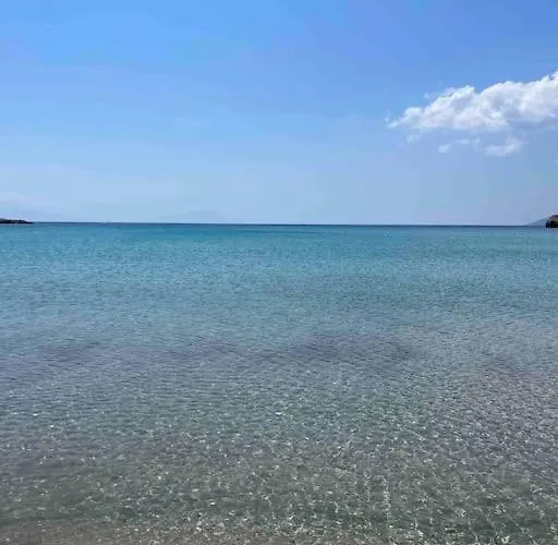 Appartement Sardunya *